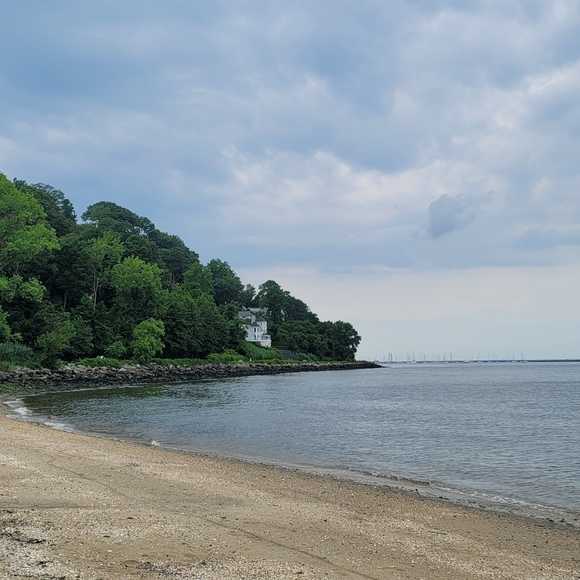 A Welcome to All New Buyers and Grateful Friends - Picture 17 of 17